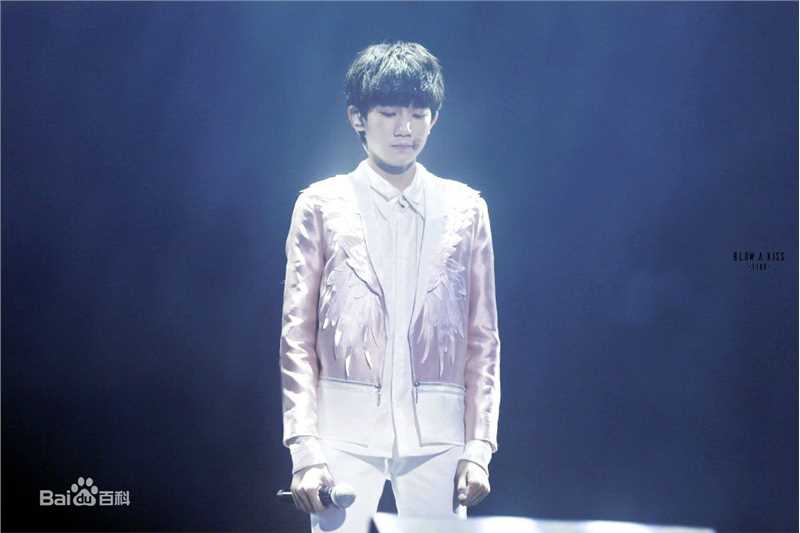 王源(Roy)演唱会生活照相册