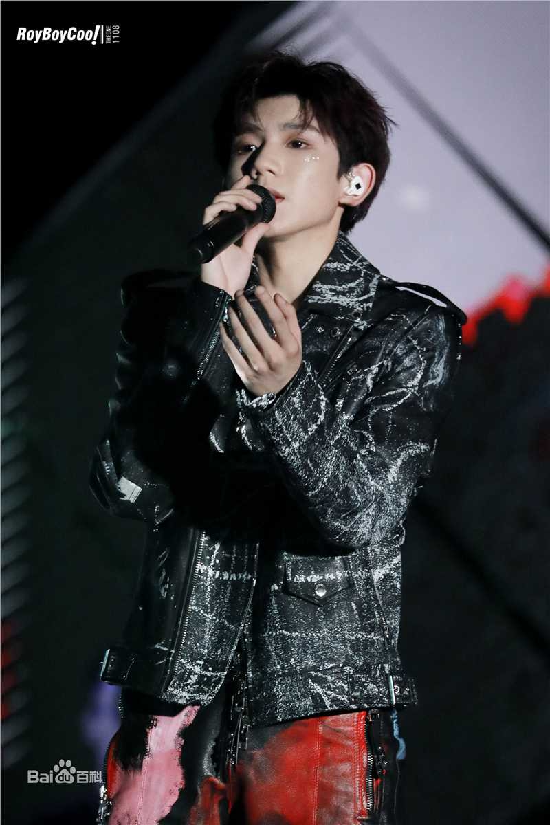 王源(Roy)演唱会生活照相册