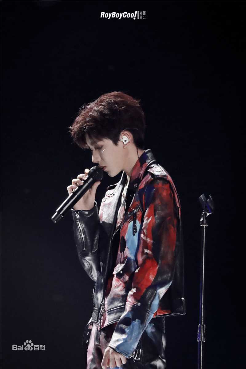 王源(Roy)演唱会生活照相册