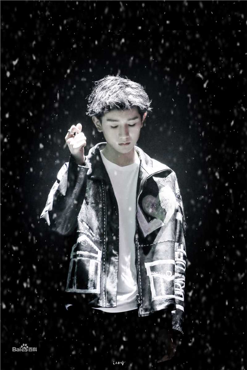 王源(Roy)演唱会生活照相册