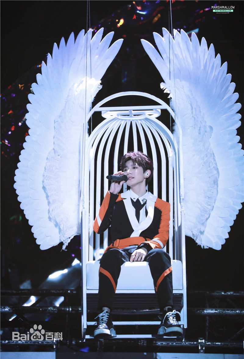 王源(Roy)演唱会生活照相册