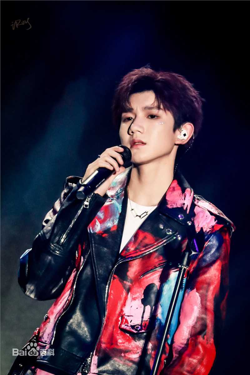 王源(Roy)演唱会生活照相册