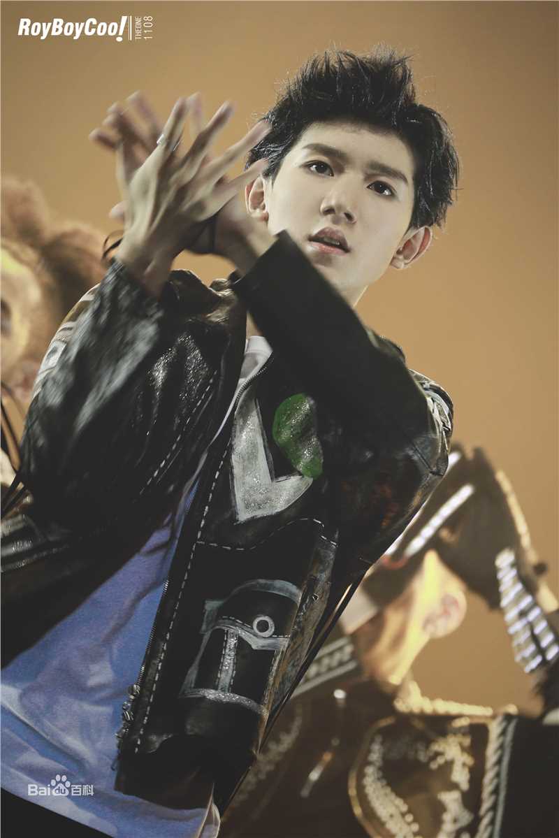 王源(Roy)演唱会生活照相册