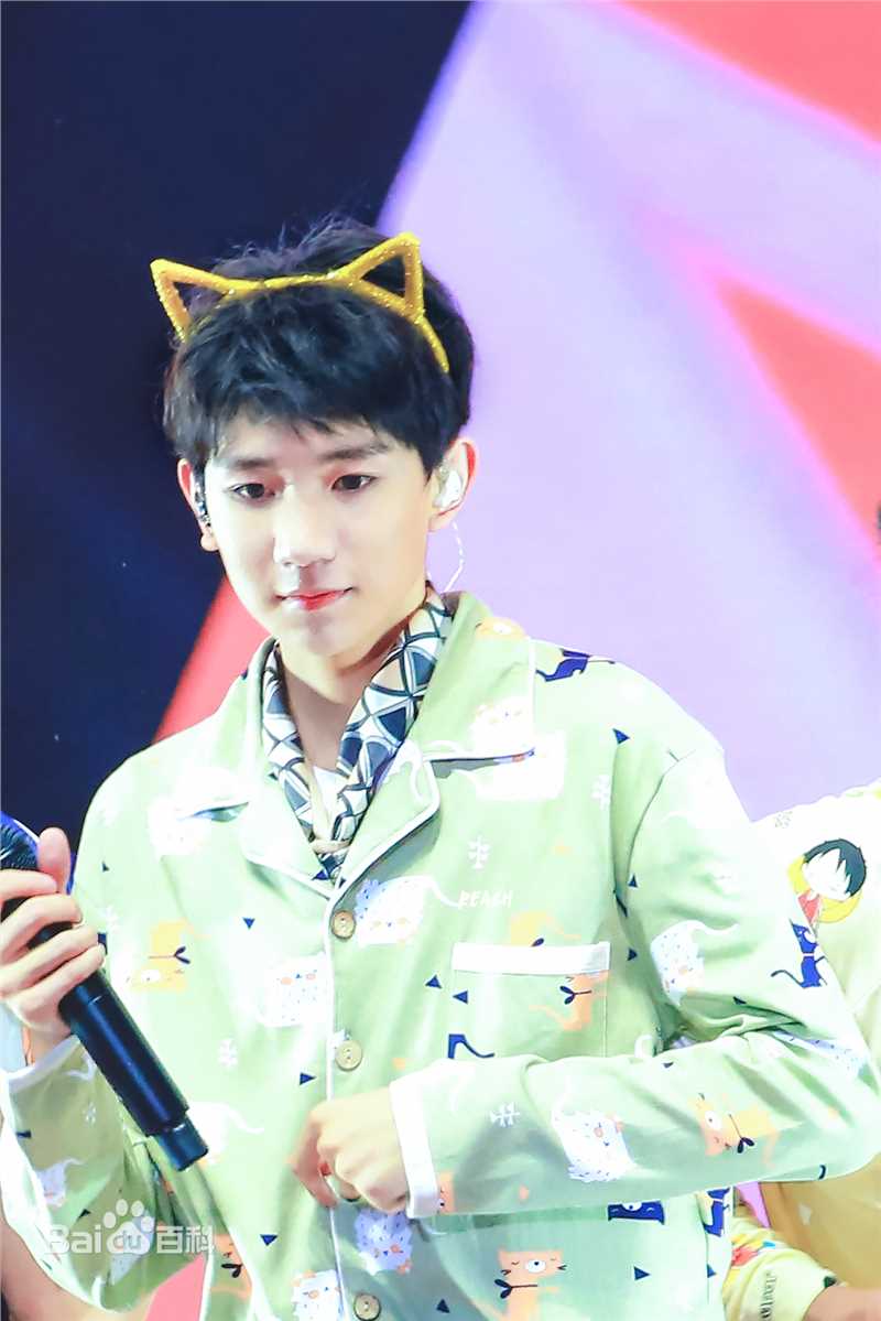 王源(Roy)演唱会生活照相册