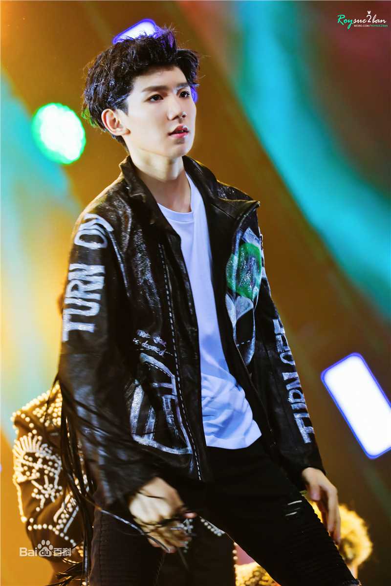 王源(Roy)演唱会生活照相册