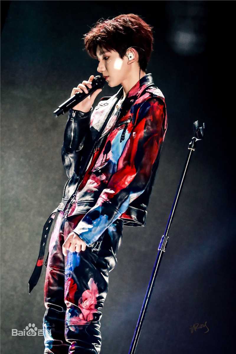 王源(Roy)演唱会生活照相册