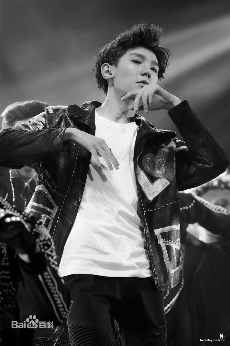 王源(Roy)演唱会生活照相册
