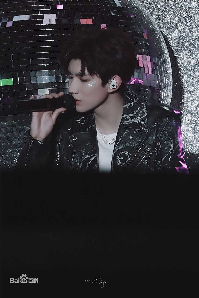 王源(Roy)演唱会生活照相册