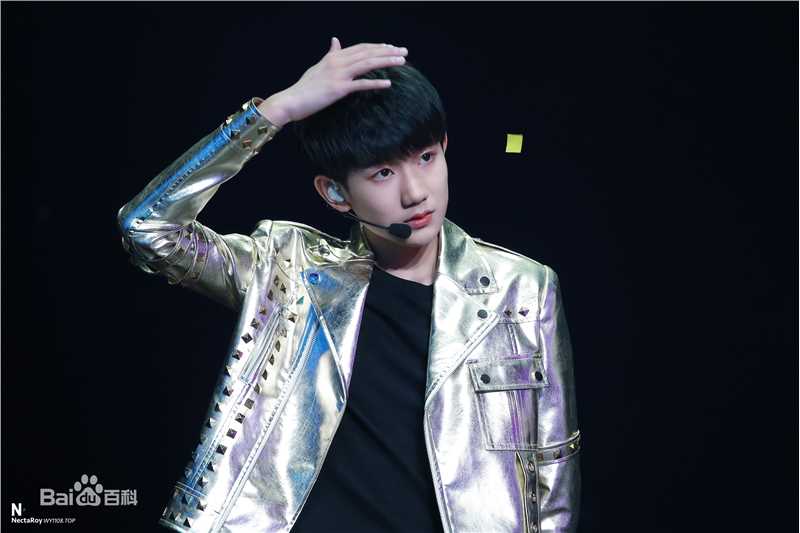 王源(Roy)演唱会生活照相册