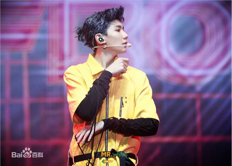 王源(Roy)演唱会生活照相册