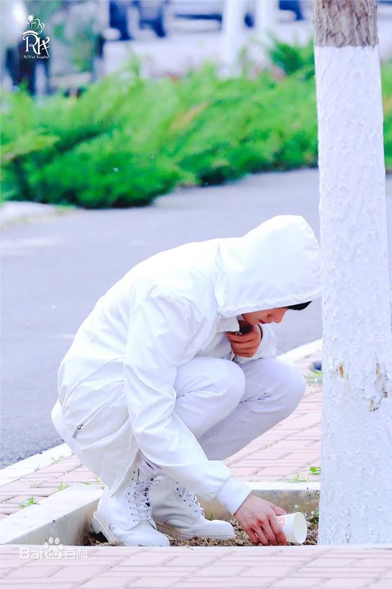 王源(Roy)参演电视剧图册