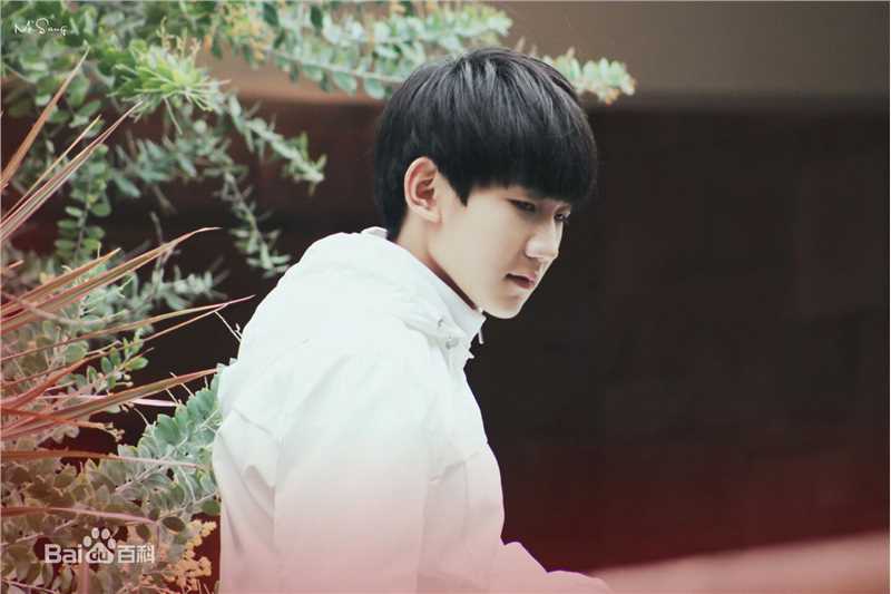 王源(Roy)参演电视剧图册