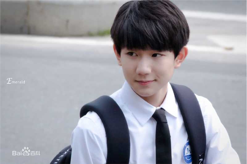 王源(Roy)参演电视剧图册