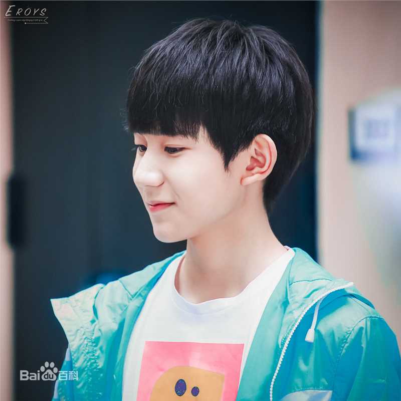 王源(Roy)参演电视剧图册