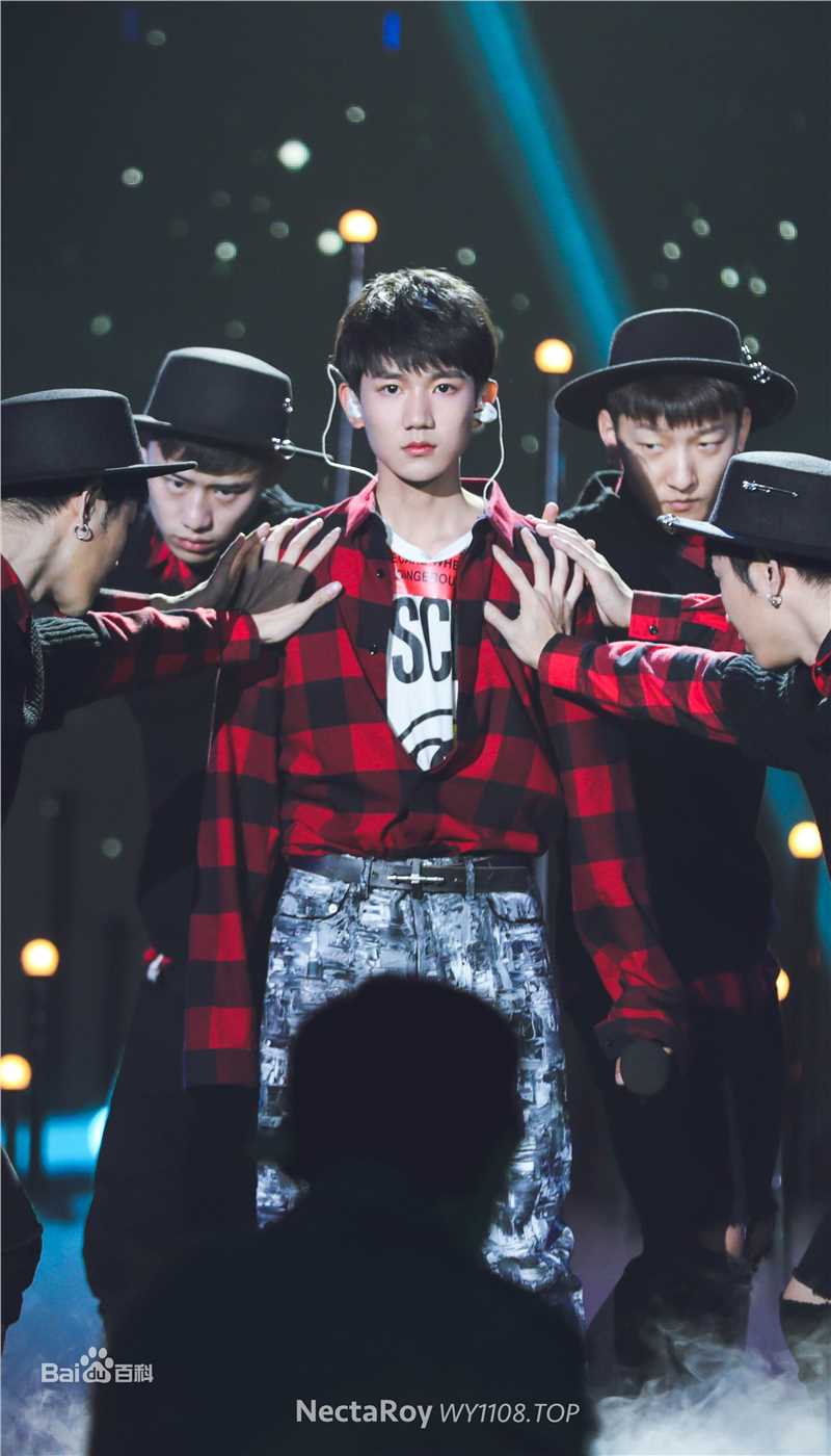 王源(Roy)生日会性感图片图集