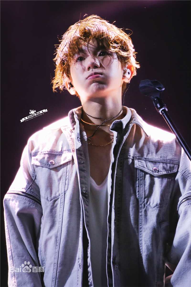 王源(Roy)生日会性感图片图集