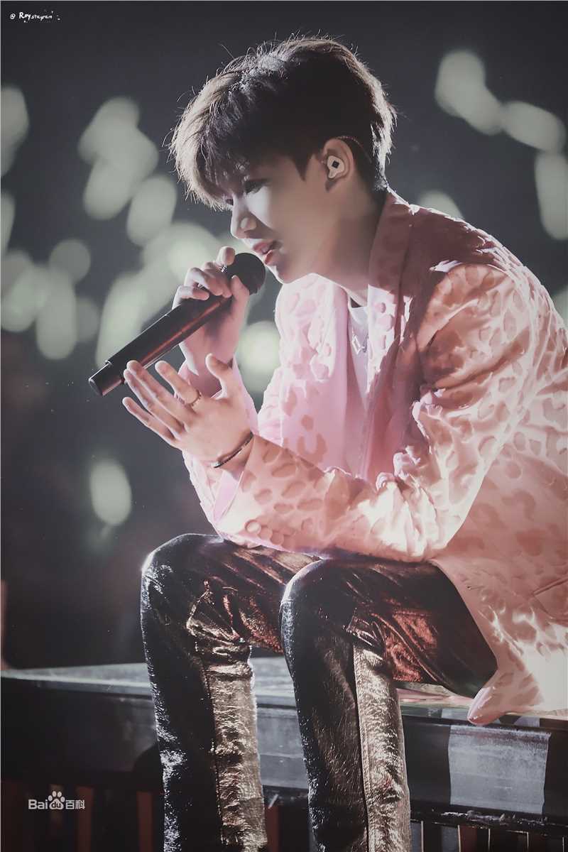 王源(Roy)生日会性感图片图集