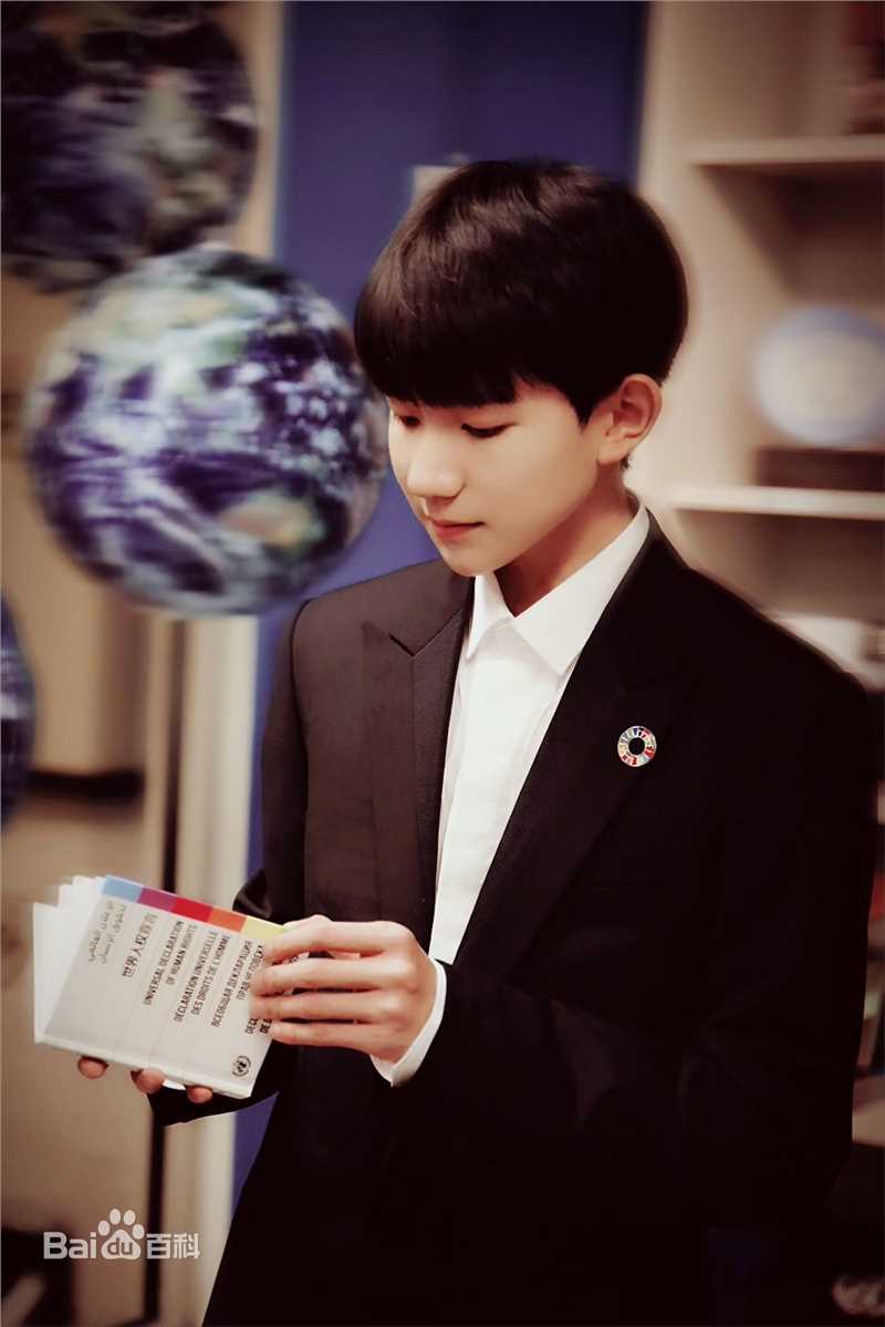 王源(Roy)联合国经济及社会理事会2017青年论坛青年代表并发言图册