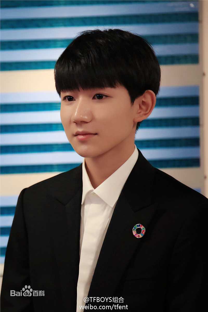 王源(Roy)联合国经济及社会理事会2017青年论坛青年代表并发言图册