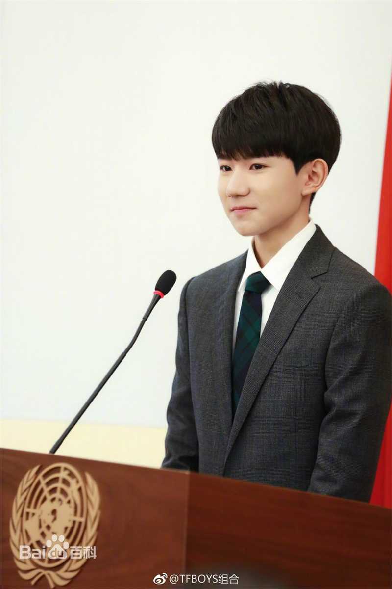 王源(Roy)联合国中国“畅想2030”“优秀倡导者”图册