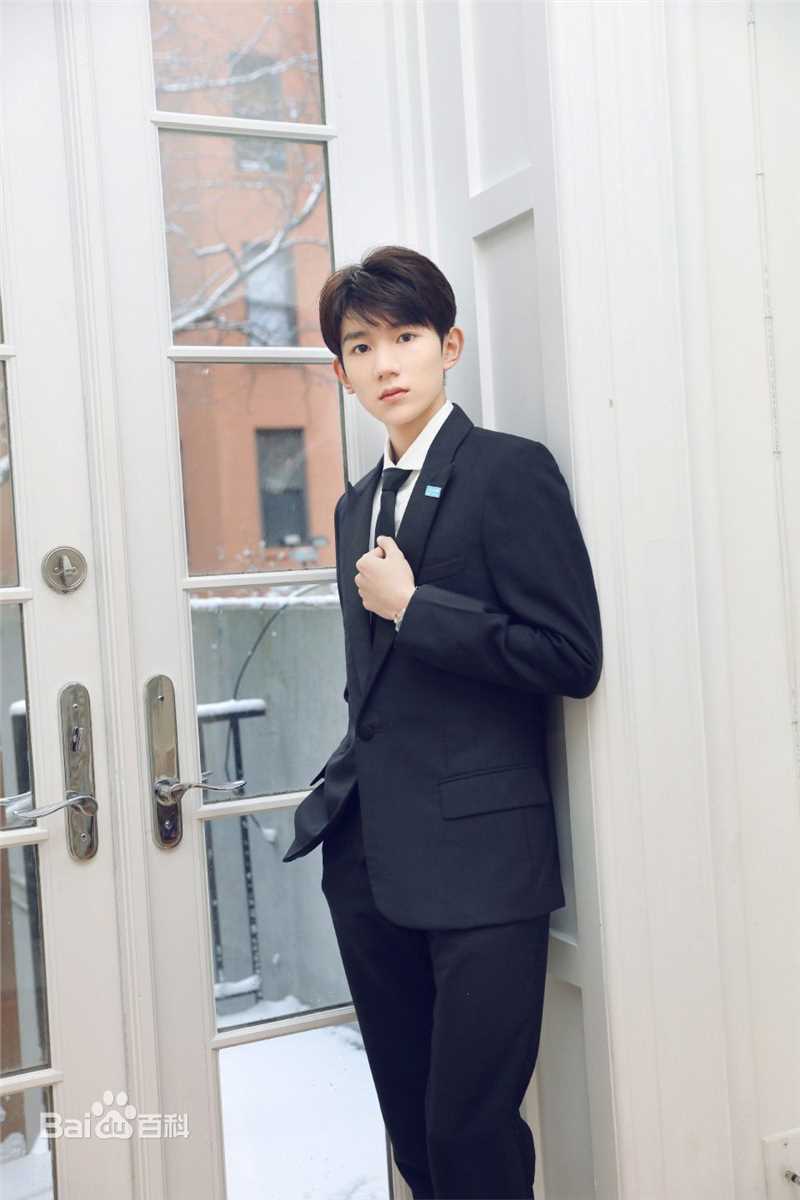 王源(Roy)联合国经济及社会理事会2018青年论坛青年代表并发表议程演讲图册