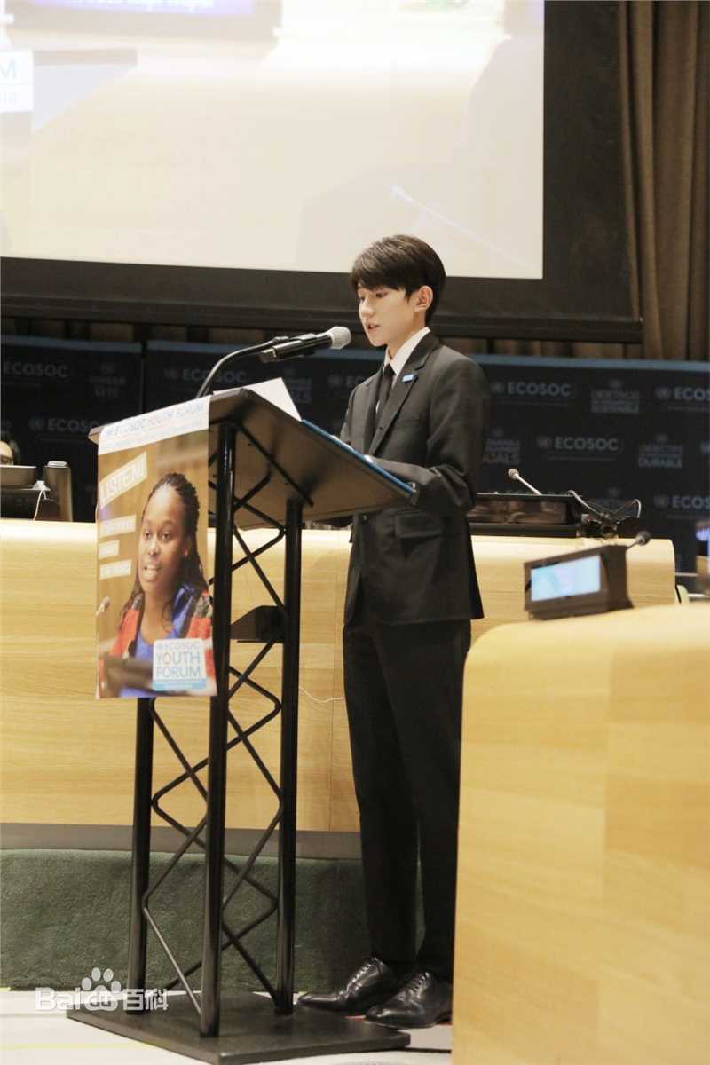 王源(Roy)联合国经济及社会理事会2018青年论坛青年代表并发表议程演讲图册