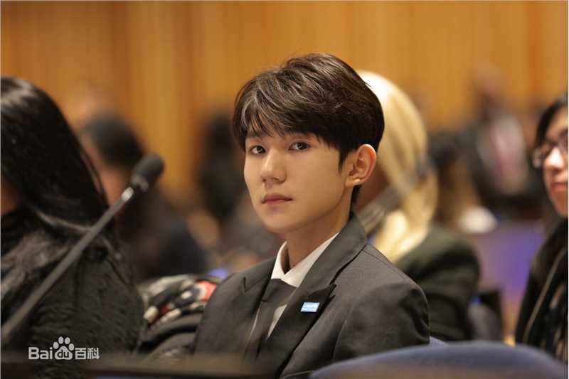 王源(Roy)联合国经济及社会理事会2018青年论坛青年代表并发表议程演讲图册