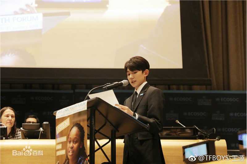 王源(Roy)联合国经济及社会理事会2018青年论坛青年代表并发表议程演讲图册