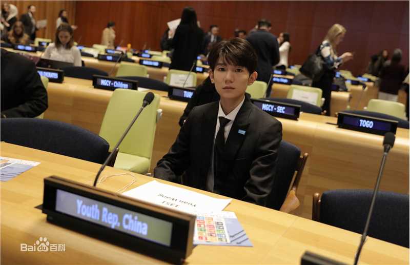 王源(Roy)联合国经济及社会理事会2018青年论坛青年代表并发表议程演讲图册