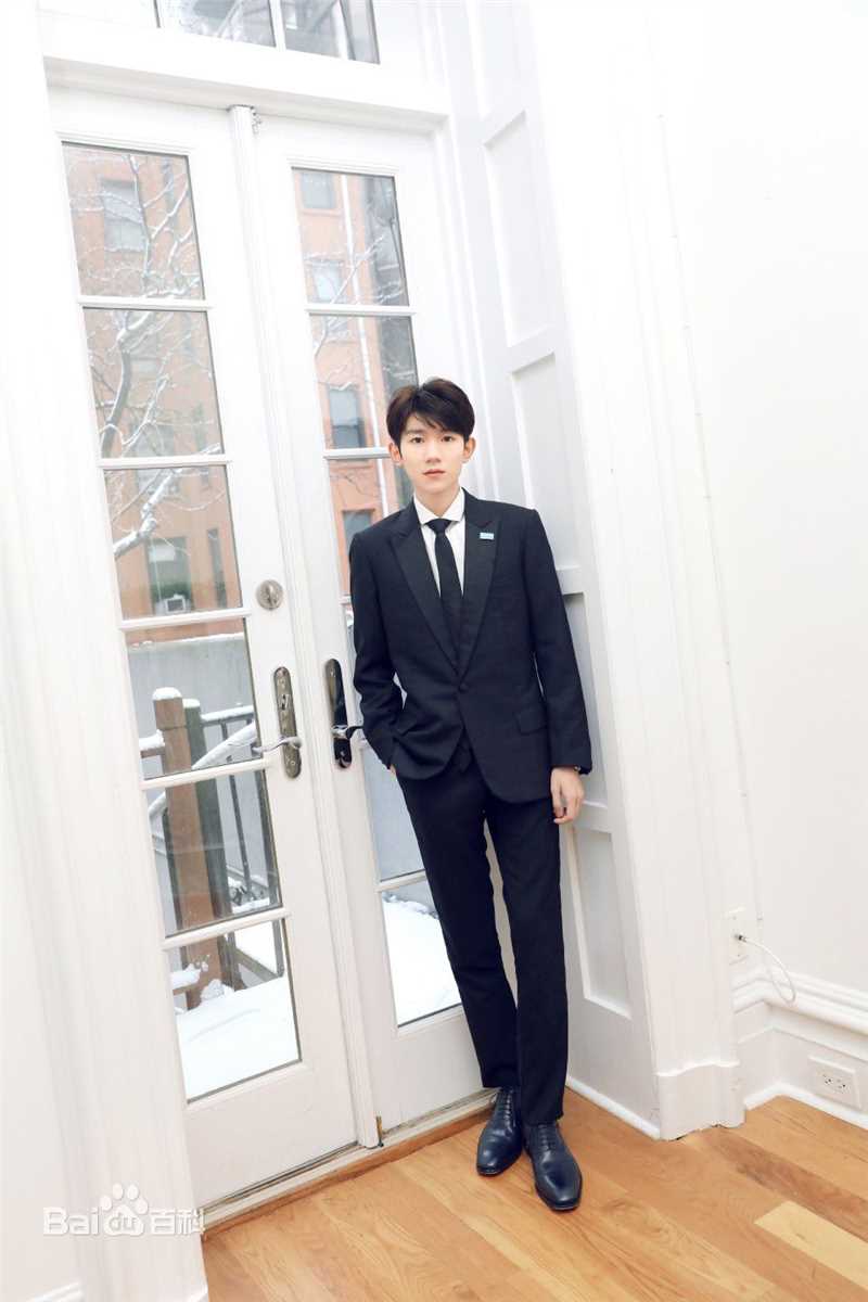 王源(Roy)联合国经济及社会理事会2018青年论坛青年代表并发表议程演讲图册