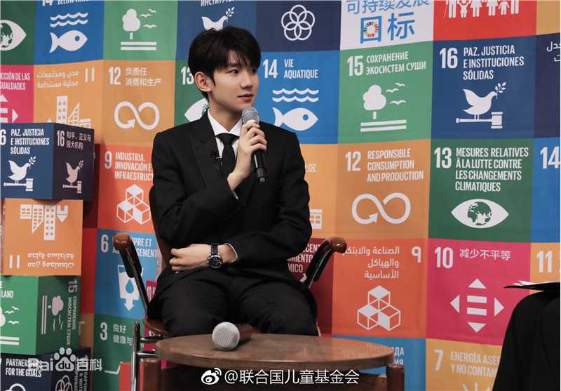 王源(Roy)联合国经济及社会理事会2018青年论坛青年代表并发表议程演讲图册