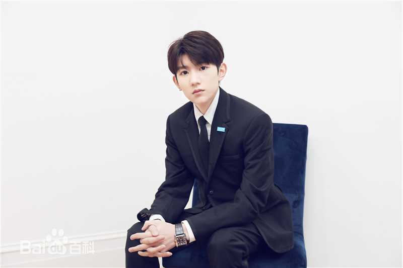 王源(Roy)联合国经济及社会理事会2018青年论坛青年代表并发表议程演讲图册