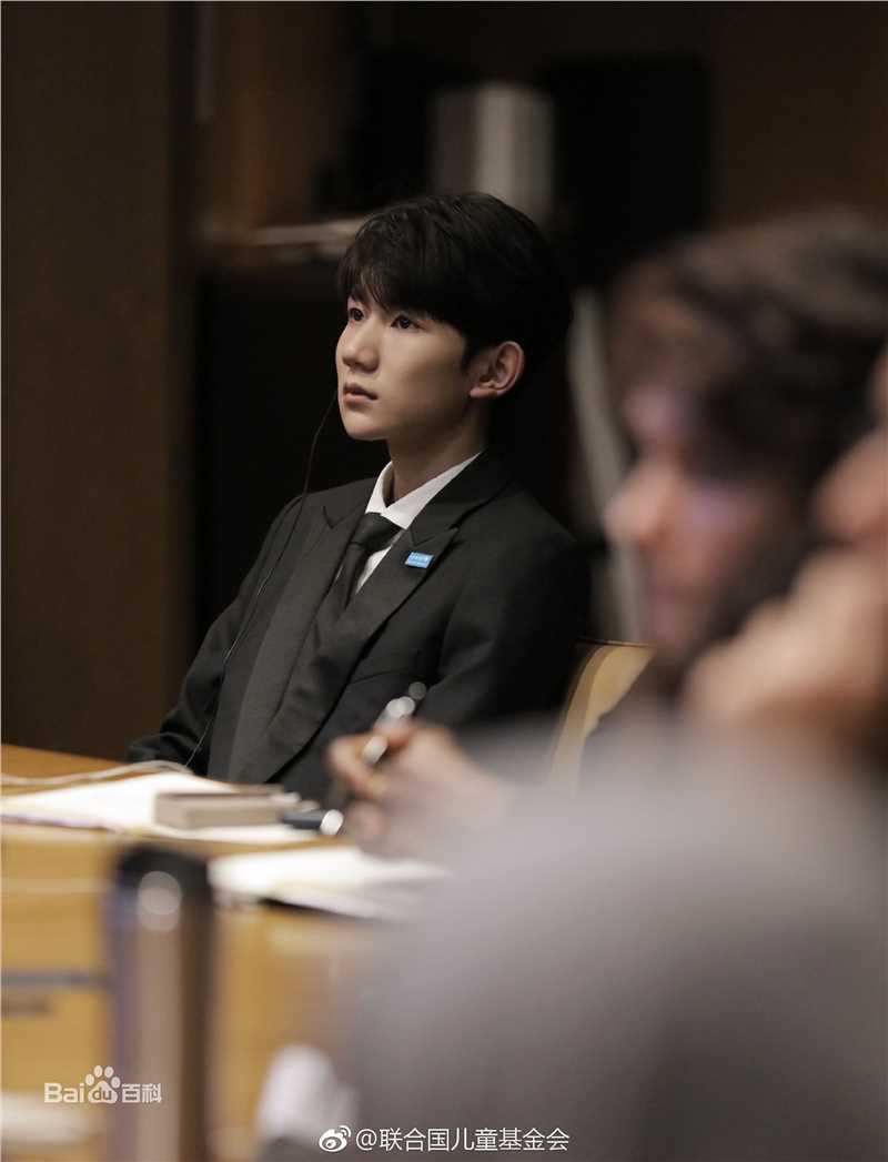王源(Roy)联合国经济及社会理事会2018青年论坛青年代表并发表议程演讲图册