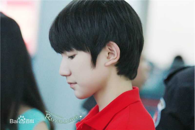 王源(Roy)的机场画报2014性感图片图集