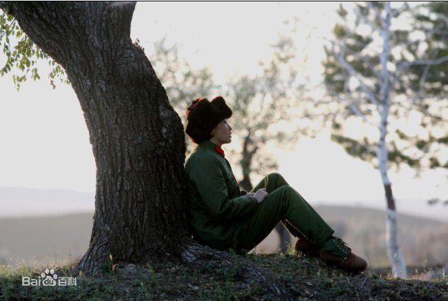 最优质吴越(wuyue)在《大院子女》饰演乔建新中的相册