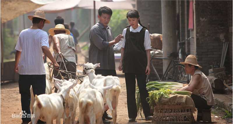 吴越(wuyue)2010年《请你原谅我》最优质剧照