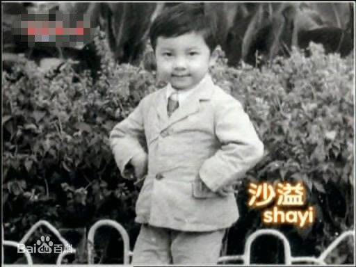 沙溢早期性感图片壁纸