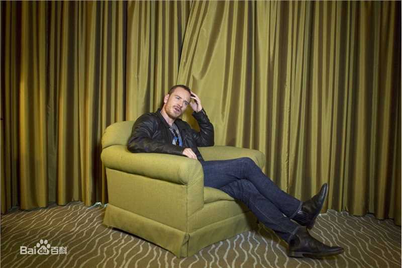 迈克尔·法斯宾德(Michael Fasender)精彩图册