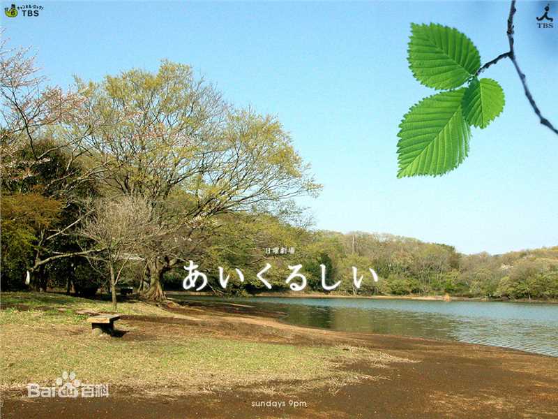最优质竹中直人(Naoto Takenaka)生活照