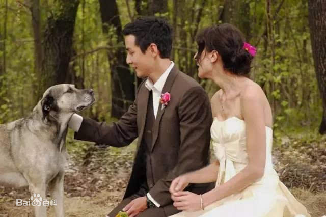 吴彦祖(Daniel Wu)与Lisa.S南非婚礼性感图片壁纸