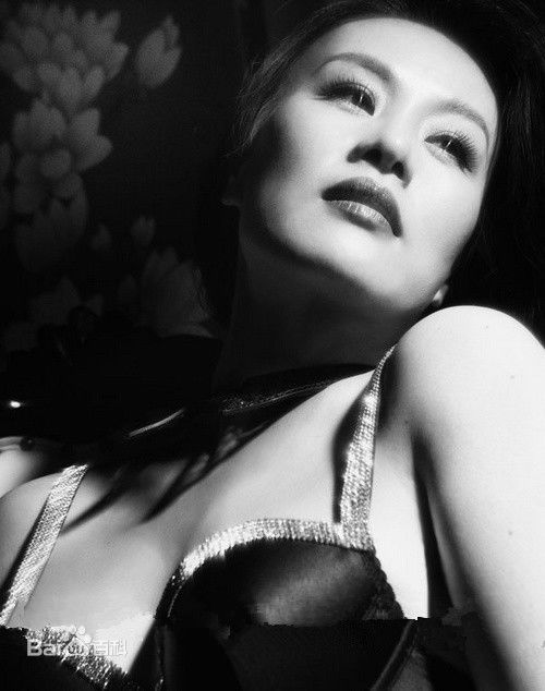 邬君梅(Vivian Wu)精选图册