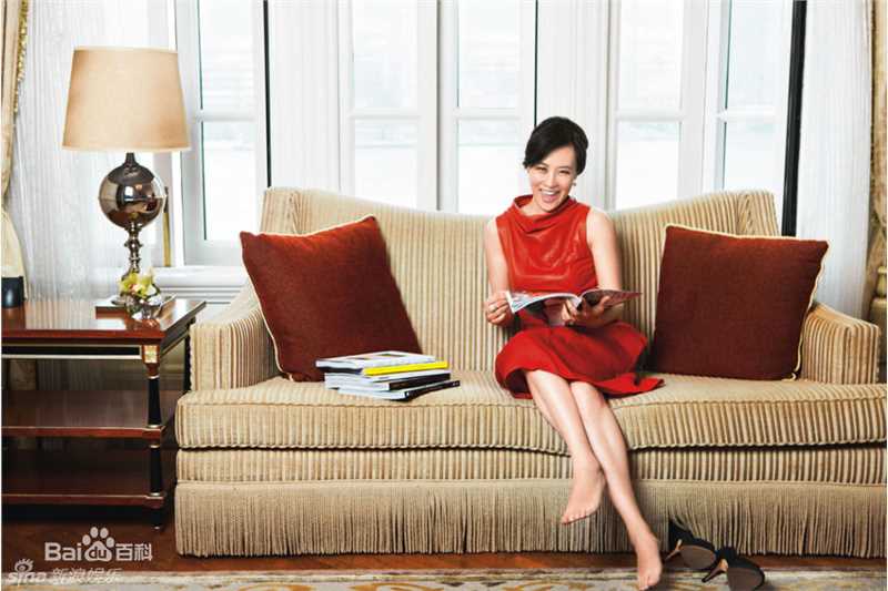 高清邬君梅(Vivian Wu)精彩图册