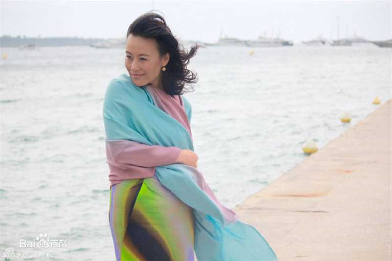 高清邬君梅(Vivian Wu)精彩图册