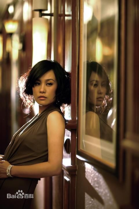 精选邬君梅(Vivian Wu)精彩图册