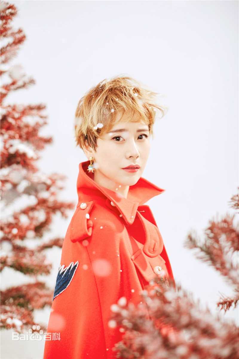 海清(Christina)精选杂志集锦图册