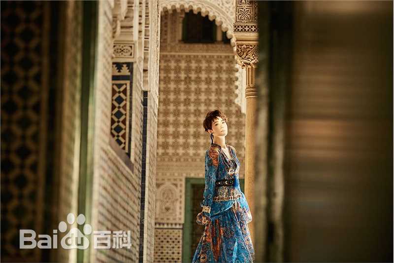 海清(Christina)精选杂志集锦图册