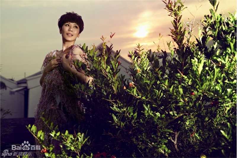 最全海清(Christina)精彩图册