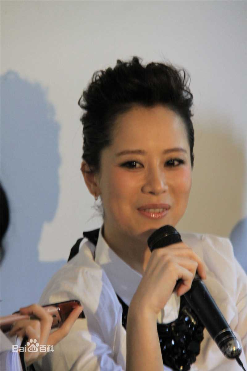 最新海清(Christina)在2011年《心术》新闻发布会中的壁纸