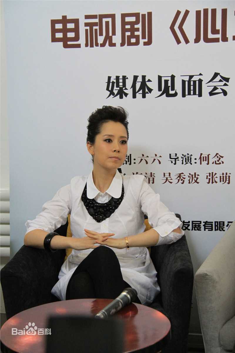 最新海清(Christina)在2011年《心术》新闻发布会中的壁纸