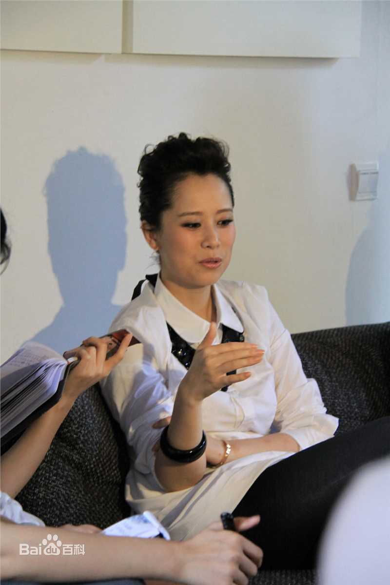 最新海清(Christina)在2011年《心术》新闻发布会中的壁纸